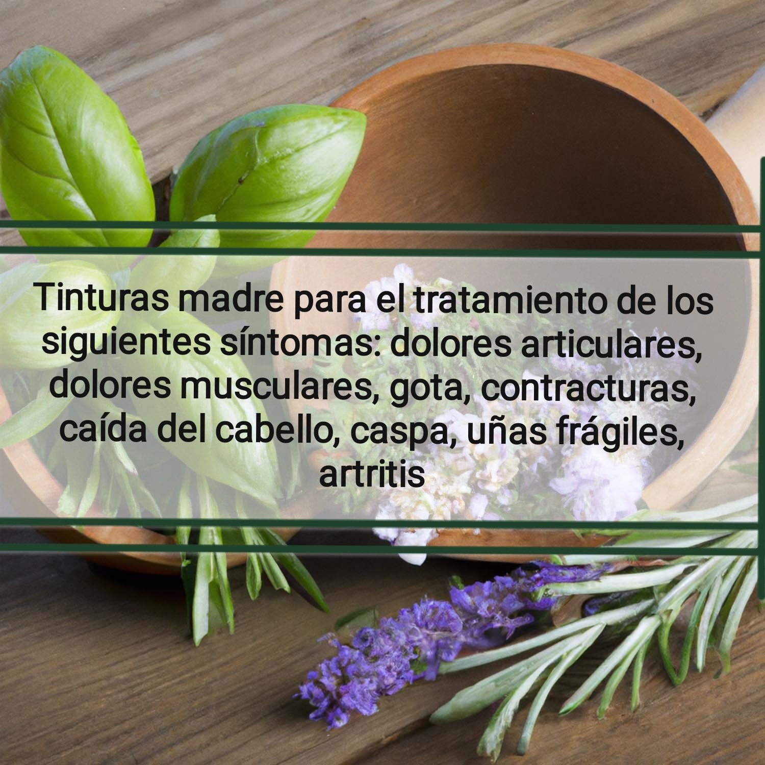 Tintura madre ARTEMISA - Imagen 12