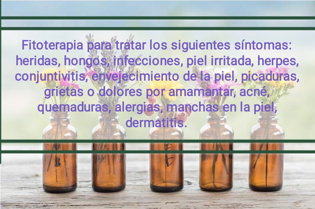 Tintura madre ARTEMISA - Imagen 8