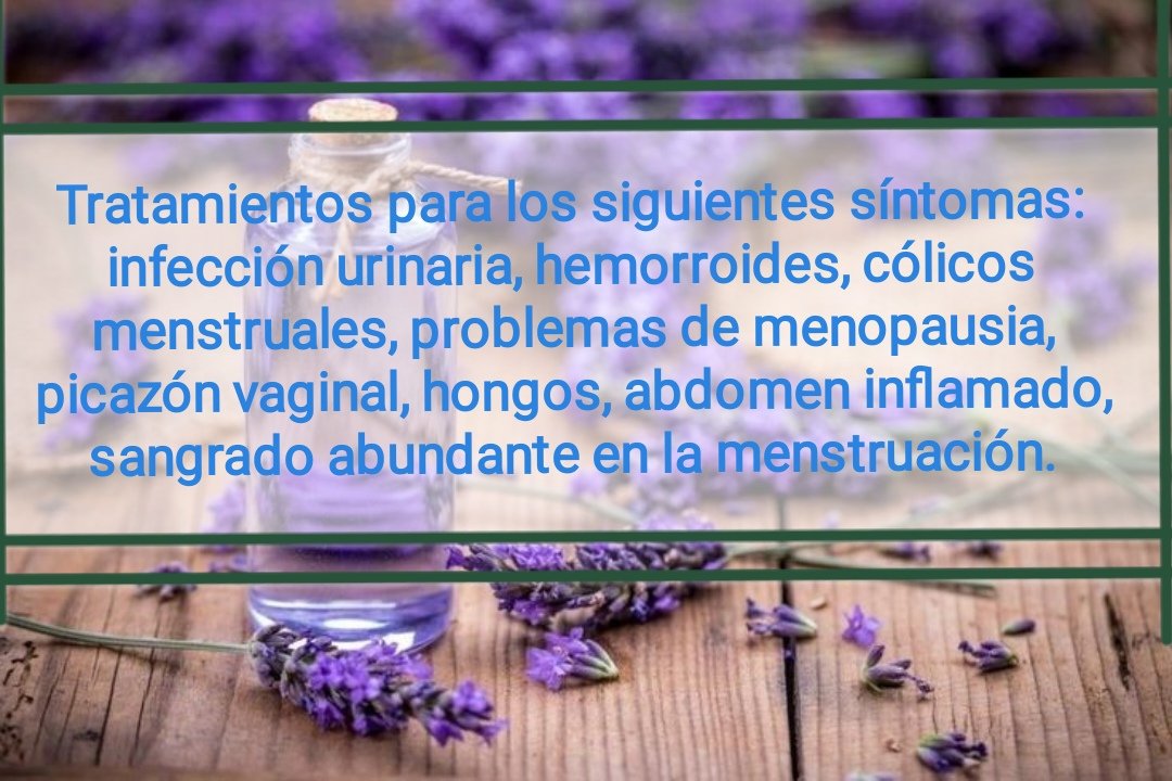 Tintura madre ARTEMISA - Imagen 7