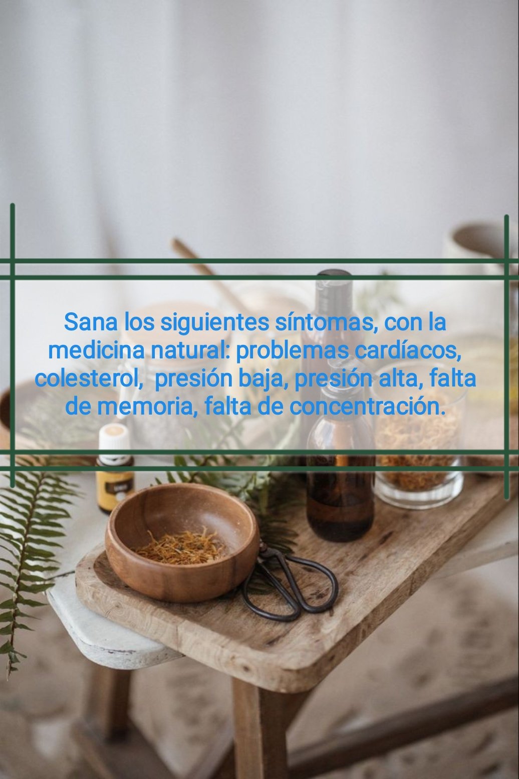 Tintura madre ARTEMISA - Imagen 5