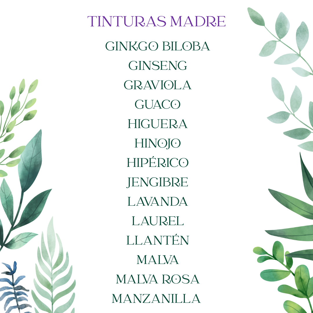 Tintura madre ARTEMISA - Imagen 14