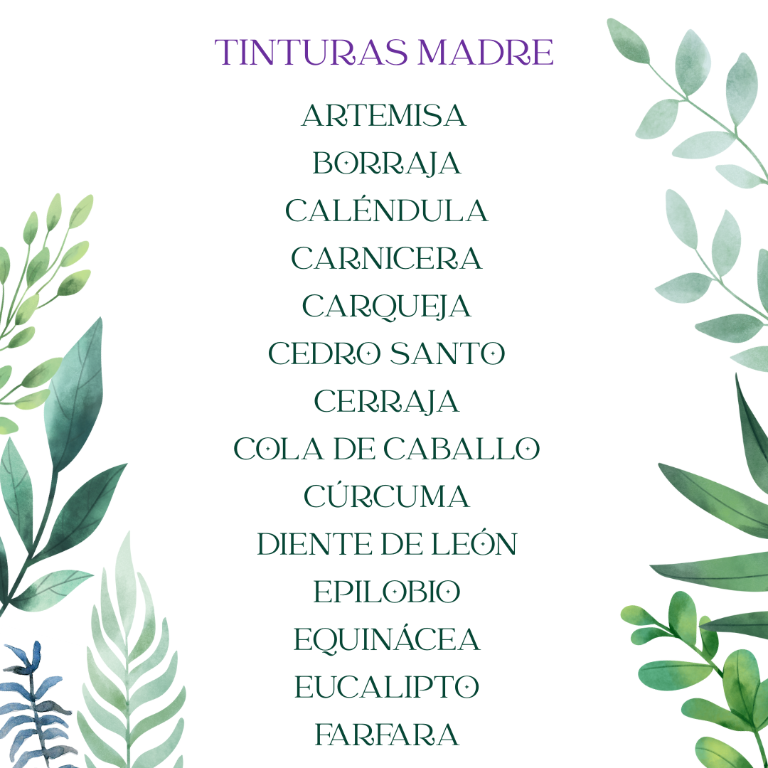 Tintura madre ARTEMISA - Imagen 13