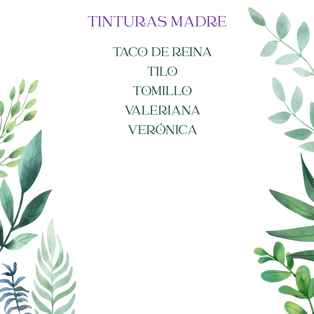 Tintura madre ARTEMISA - Imagen 16